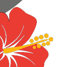 Poster hibiscus bottom left